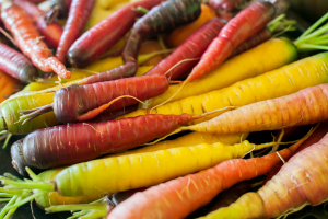 Heirloom colorful carrots