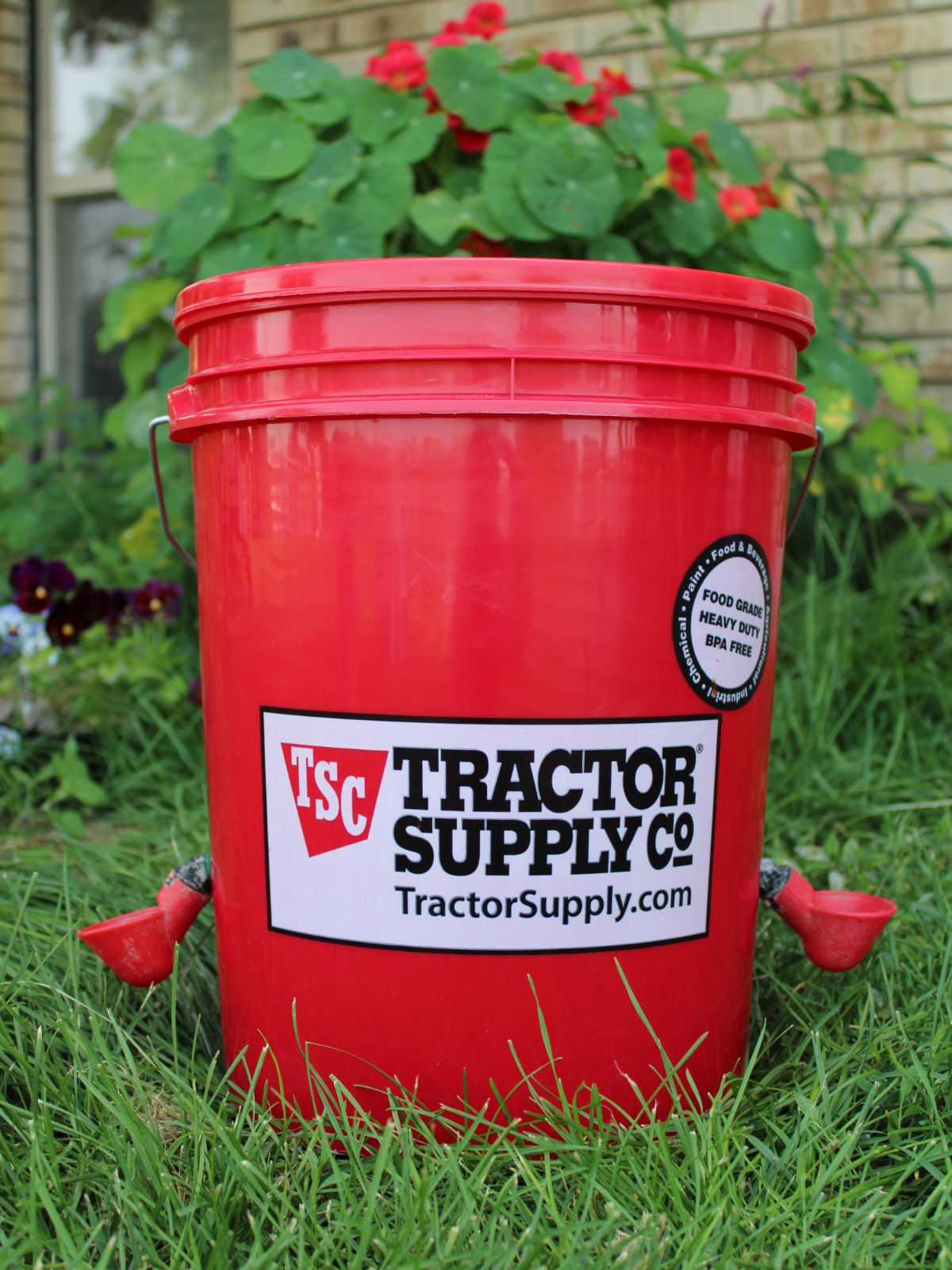 A red Tractor Supply Company bucket with two chicken water cups, green grass, and flowers