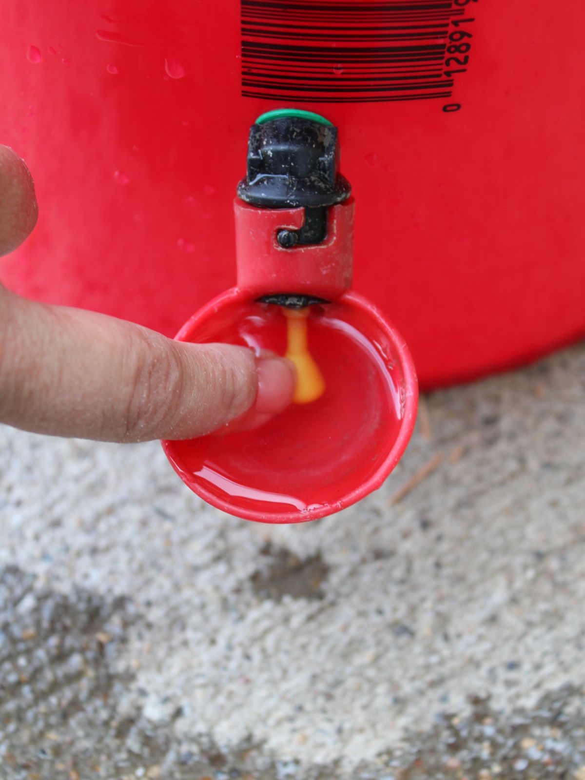Red chicken water cup