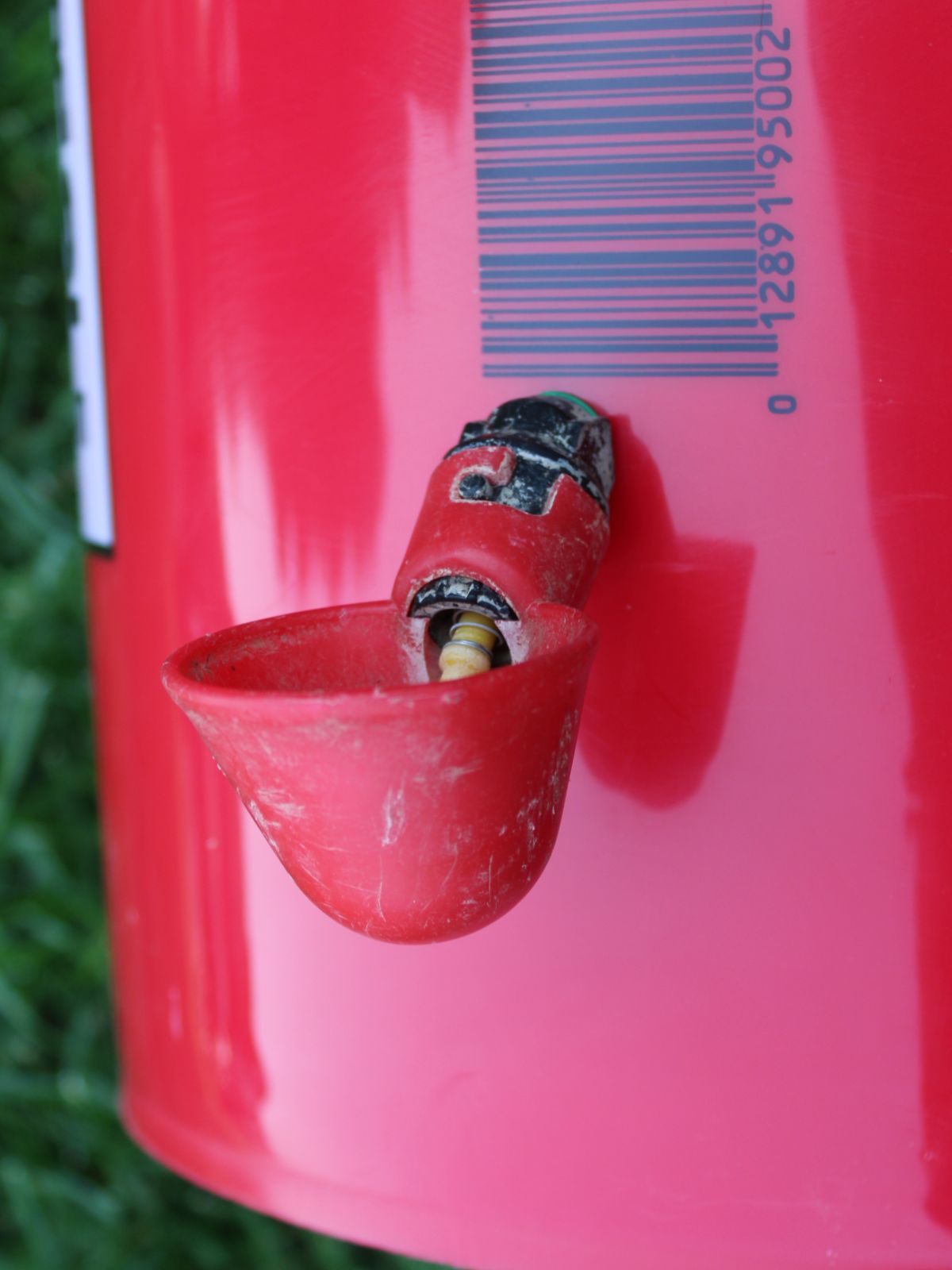 Red chicken drinking cup on a bucket