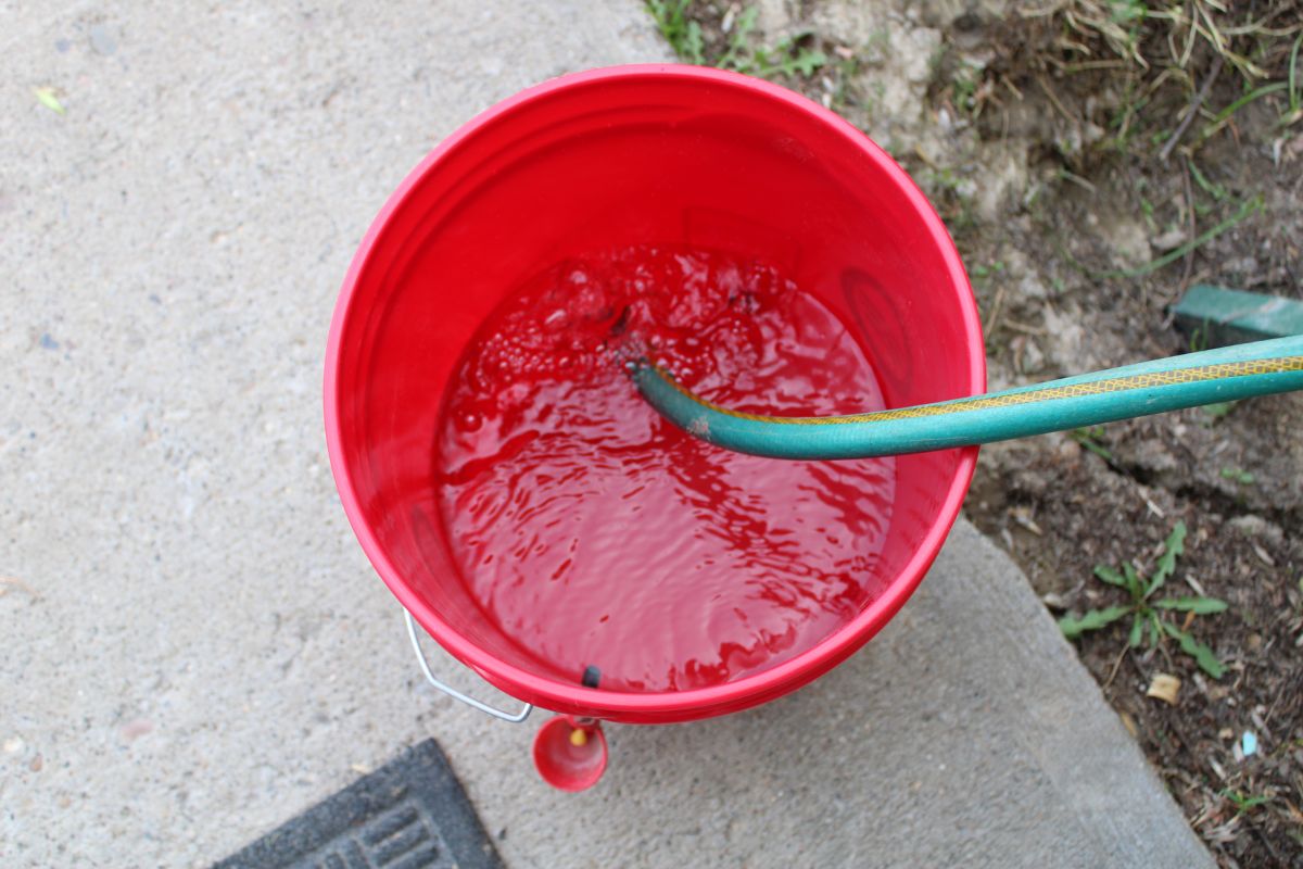 garden hose filling water into a red bucket