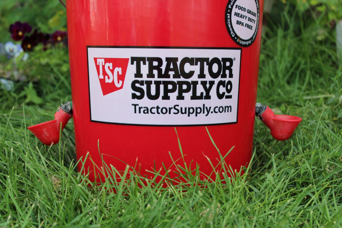 red bucket with two water cups